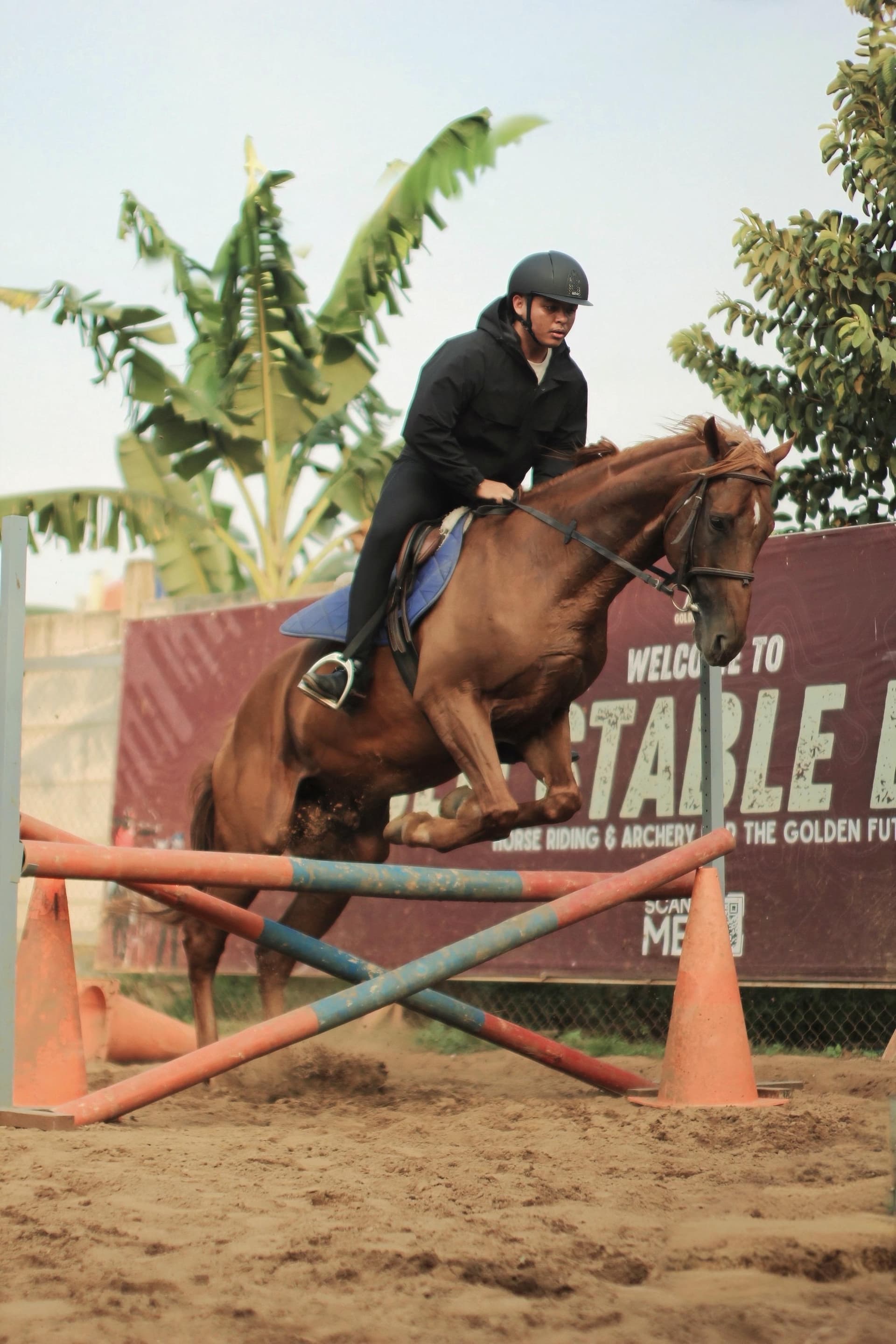 Horse jumping at Golden Stable Bintaro