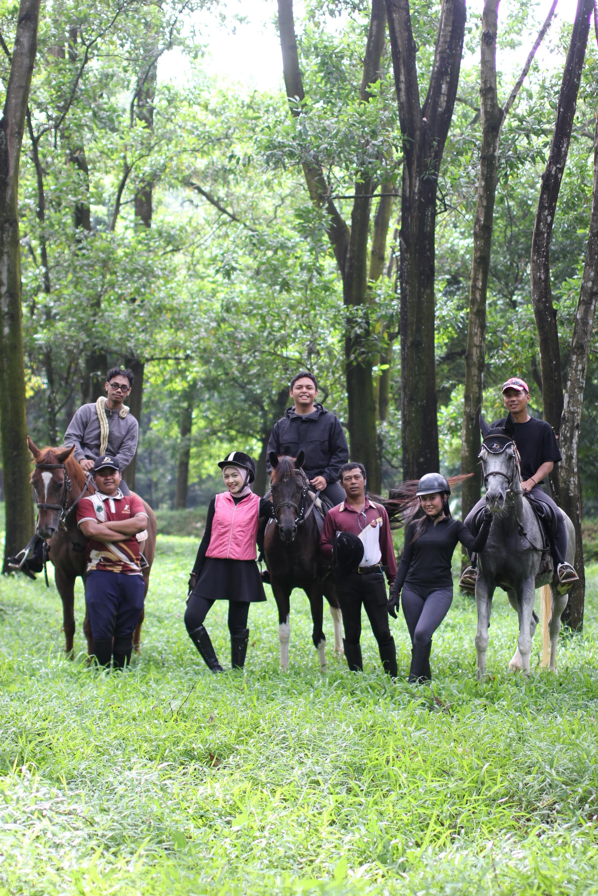 Horse trekking through the forest